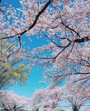 介護支援専門員の登録について,ケアマネ試験,ケアマネ実務研修,演習,グループワーク,参加,感想,埼玉県